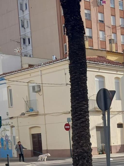 Cerca Del Puerto Y Del Paseo Apartment